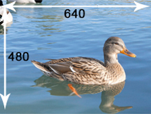 عکس طبیعت با رزولوشن 640*480