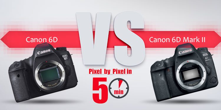 کانن EOS 6D Mark II به کانن EOS 6D