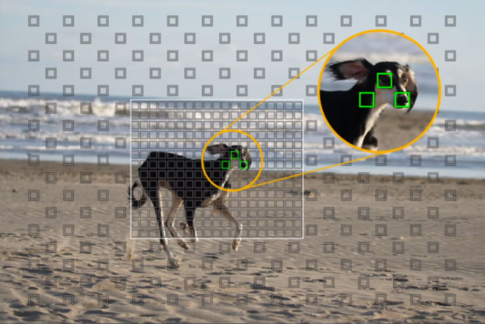 عکس گرفته شده با Sony a6500