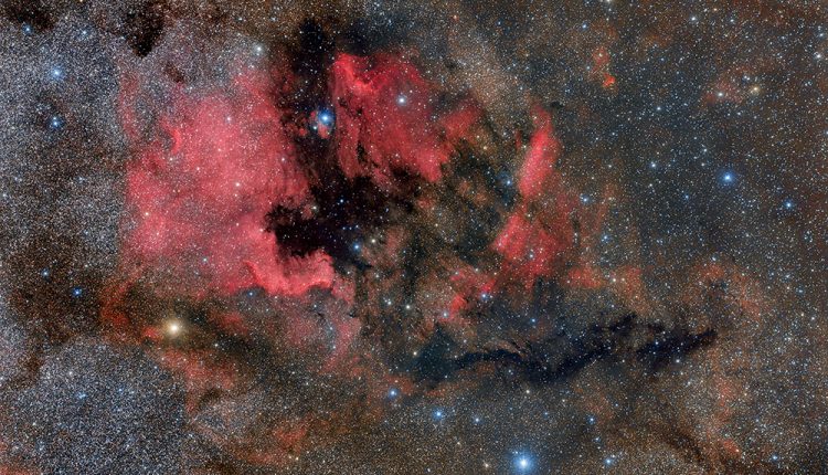 مجموعه سحابی های آمریکای شمالی و پلیکان، عکس: امیرحسین ابوالفتح