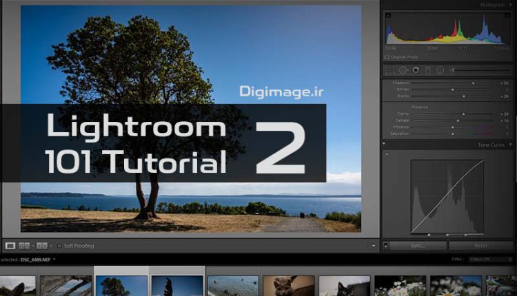 اپیزود 02: وارد کردن عکس‌ها به لایتروم از کارت حافظه