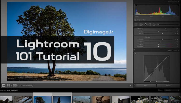 اپیزود 10: رفع نویز عکس در لایتروم