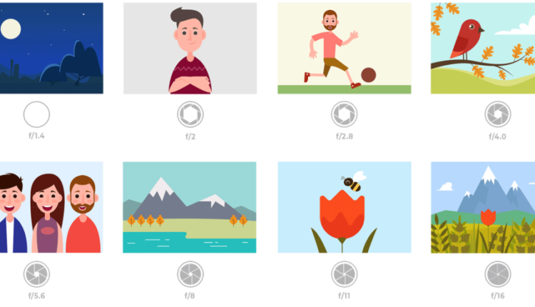 همه چیز در مورد دیافراگم