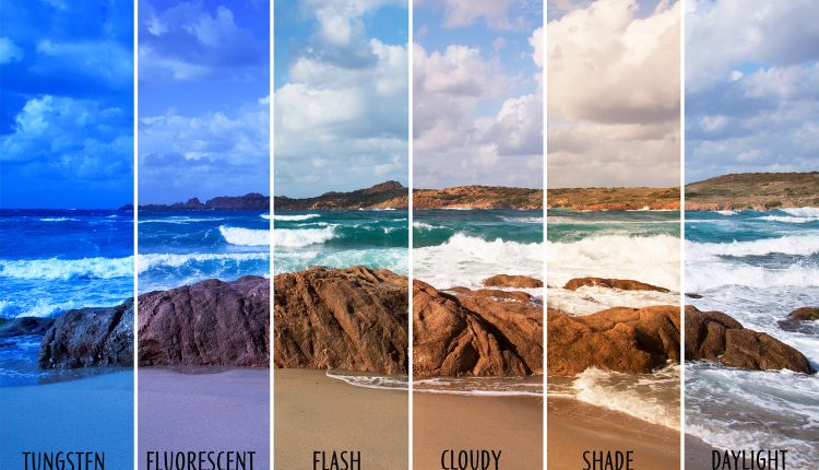 تاثیر وایت بالانس بر روی عکس‌