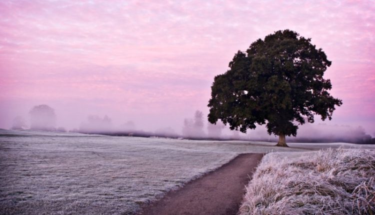 ترکیب‌بندی