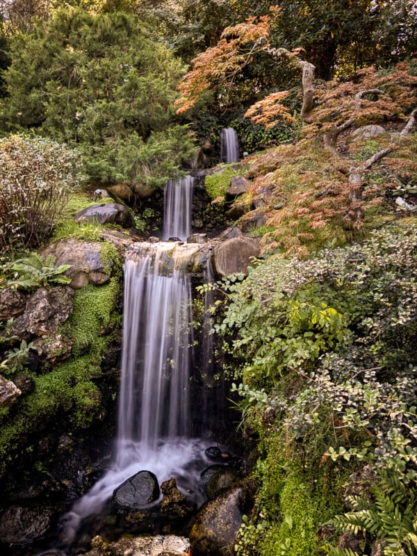 تصویر ثبت شده به همراه آیفون ۱۵ پرو