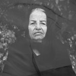 مجموعه عکس نهفته در خاک