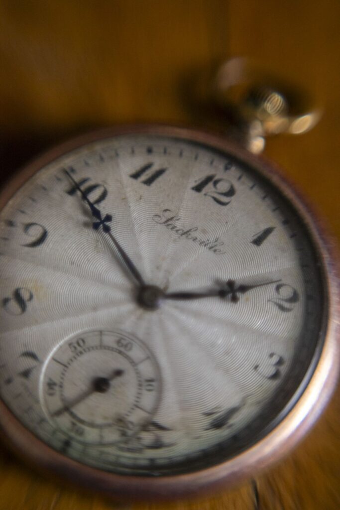 عکس ماکرو ثبت شده به همراه حلقه معکوس