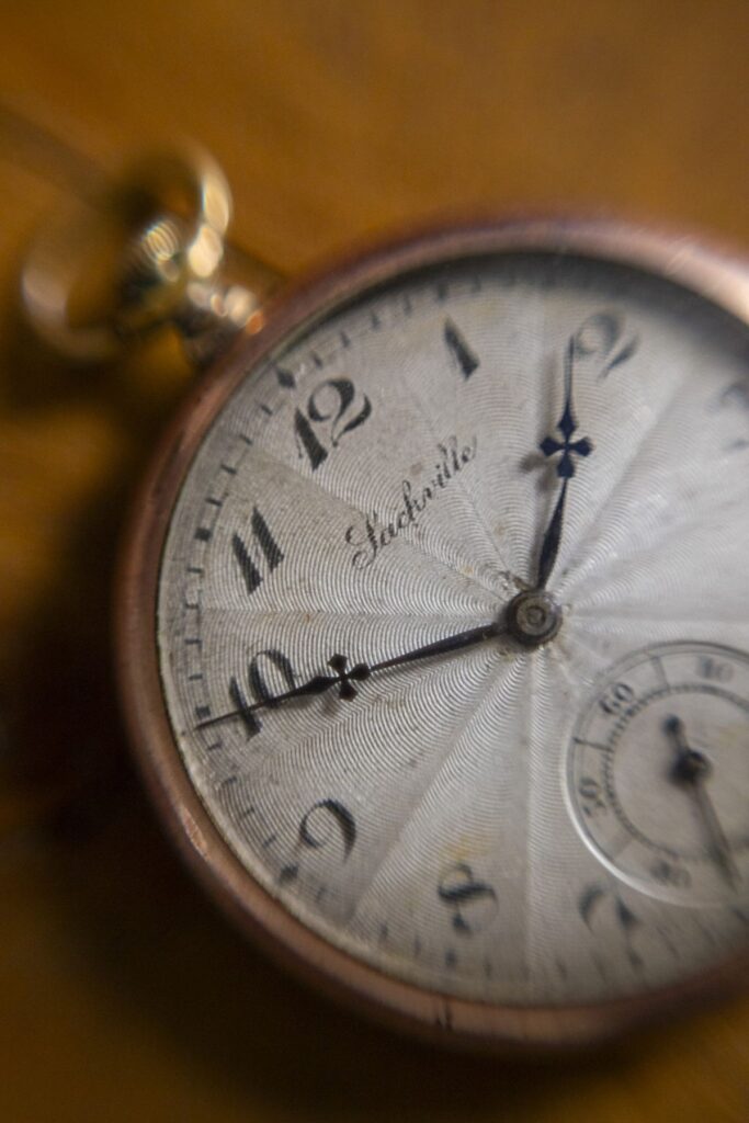 عکس ماکرو ثبت شده به همراه حلقه معکوس