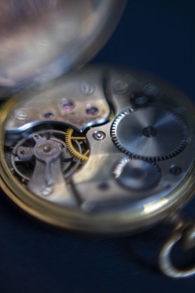 عکس ماکرو ثبت شده به همراه حلقه معکوس