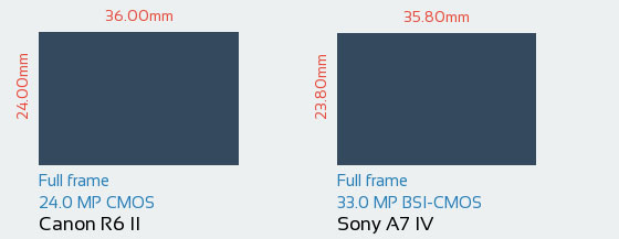مقایسه حسگر Canon R6 II در مقابل Sony A7 IV