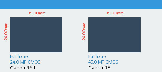 مقایسه سنسور Canon R6 II و Canon R5
