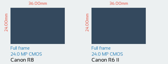 مقایسه سنسور Canon R8 و Canon R6 II