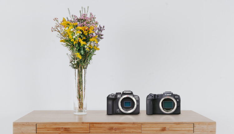 مقایسه Canon R10 با Canon RP