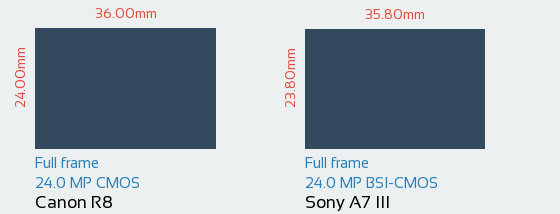 مقایسه سنسور Canon R8 و Sony A7 III