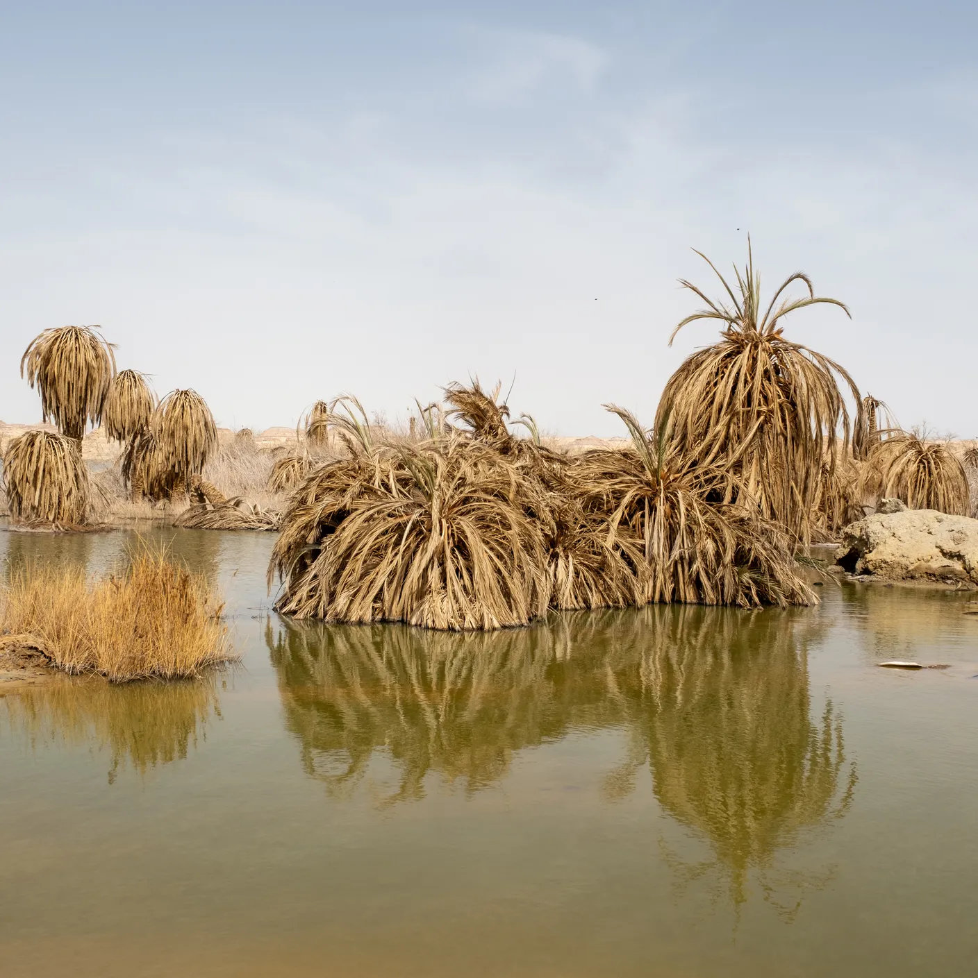واحه سیوا، مصر (Siwa Oasis, Egypt)