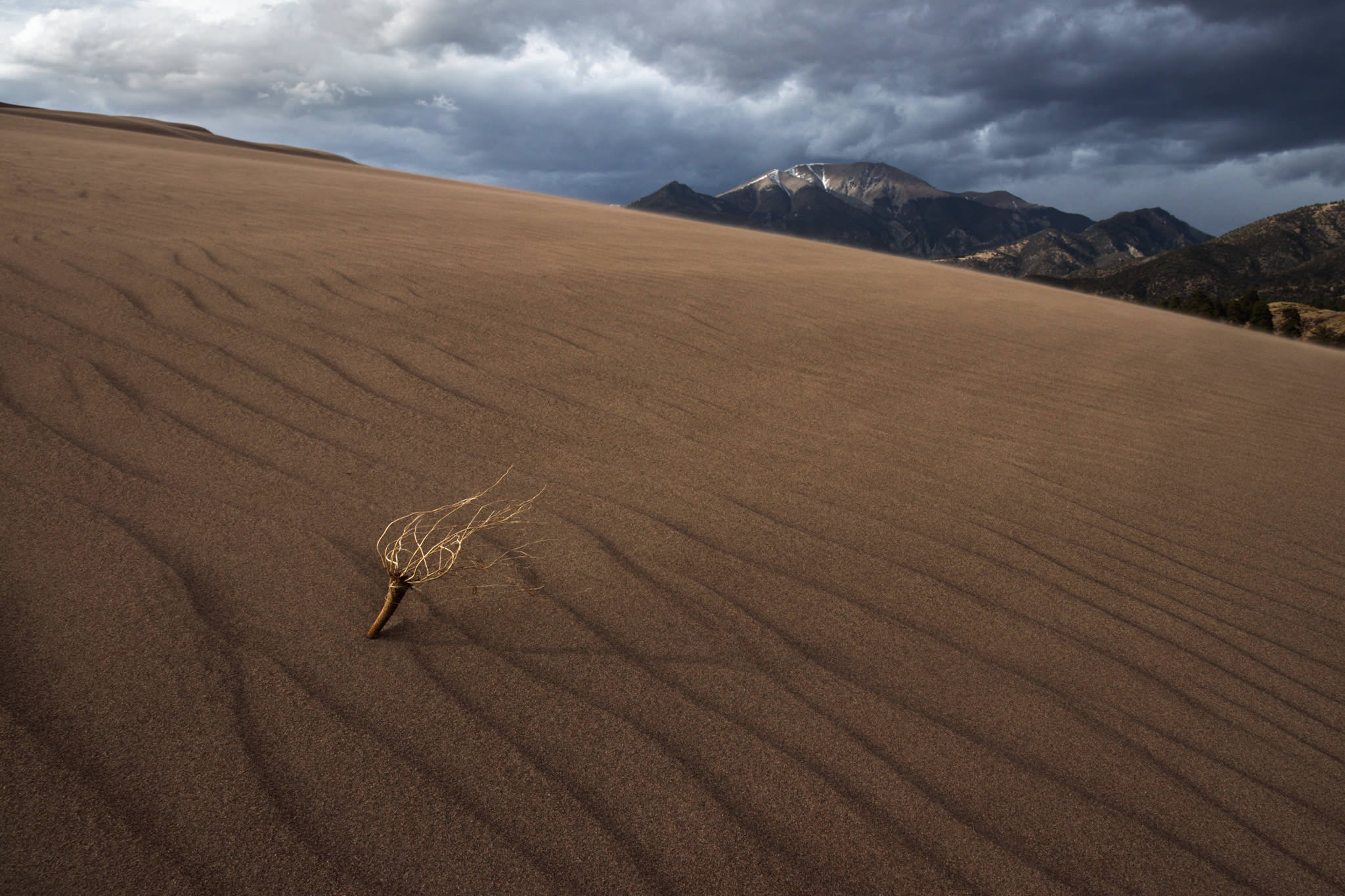 فاصله‌ کانونی