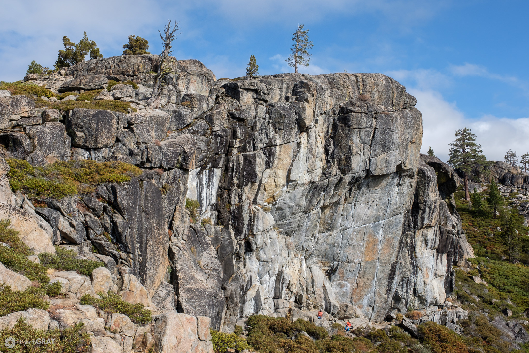 فاصله‌ کانونی