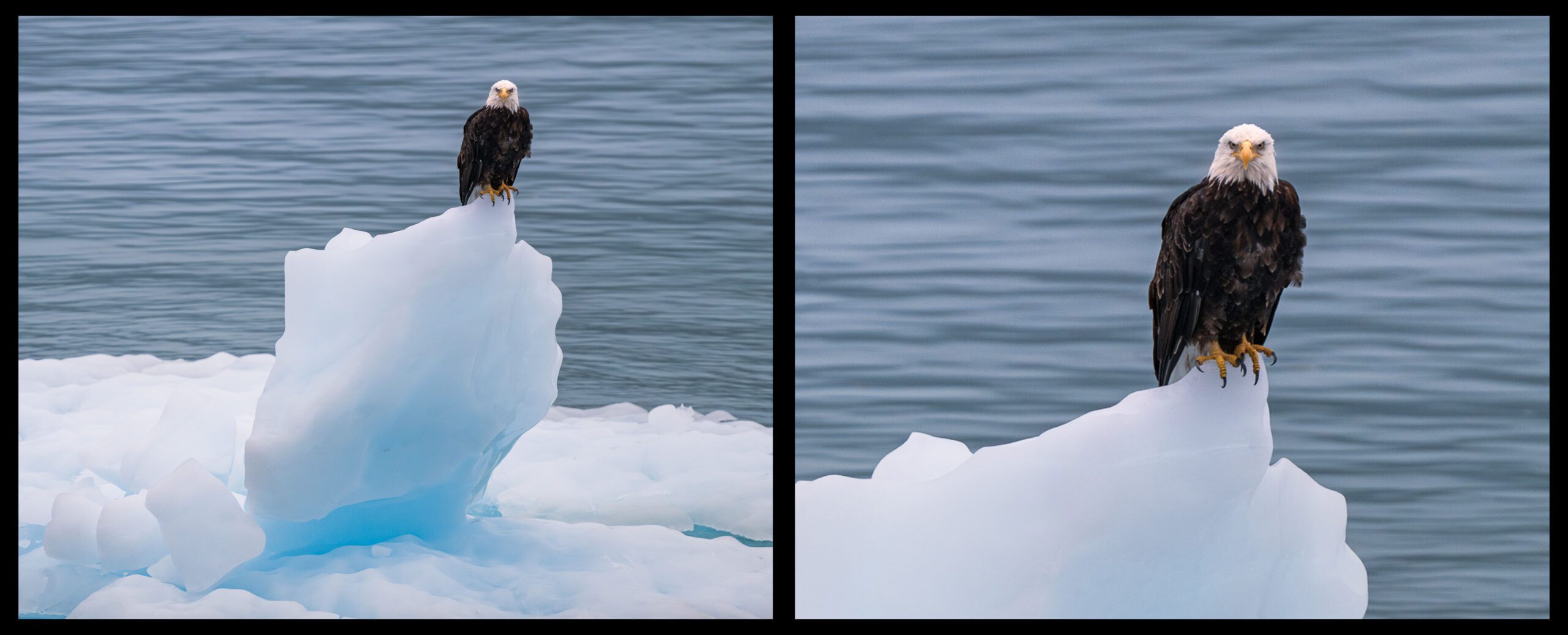 فاصله‌ کانونی