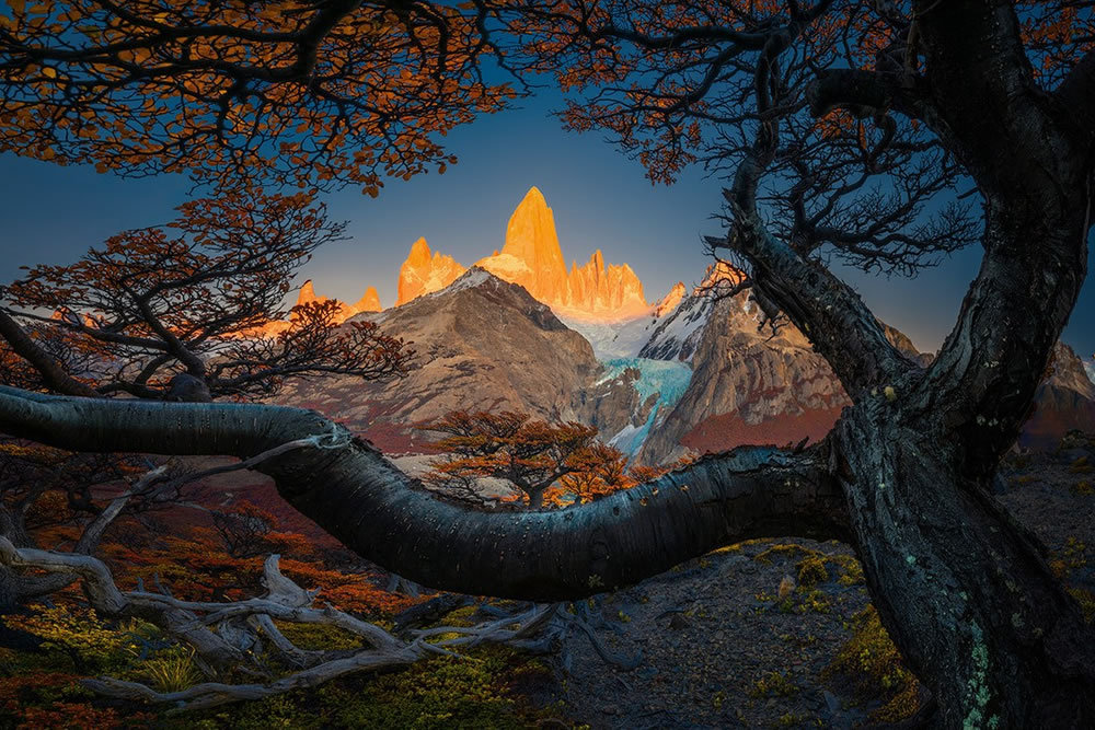 گرگ بوراتین (Greg Boratyn)
