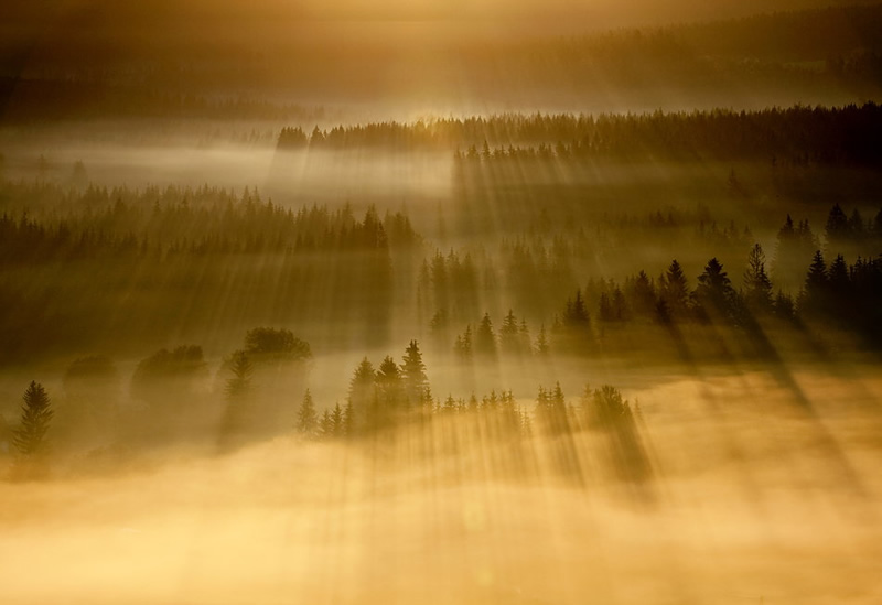 مارکین سوباس (Marcin Sobas)