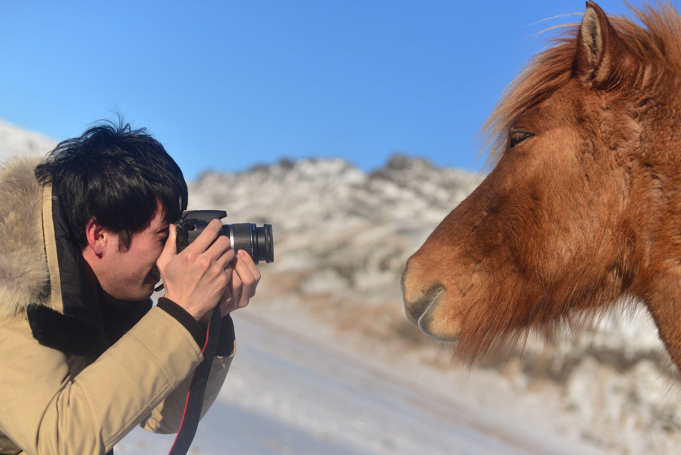 کسب درآمد از عکاسی برگزاری تورهای عکاسی