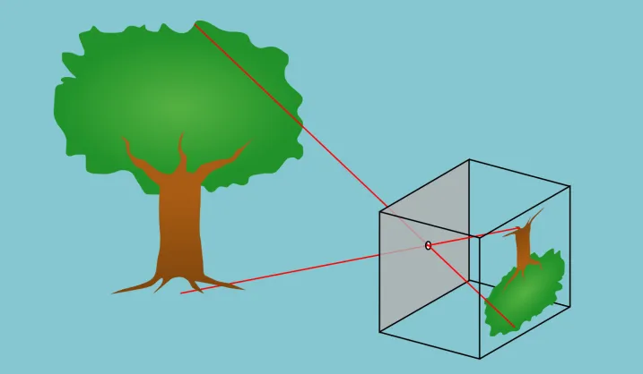 دوربین‌ عکاسی