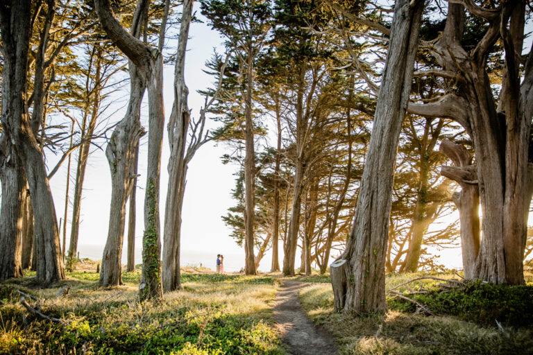 بهره‌گیری از ساعت طلایی در برنامه‌ریزی مراسمات
