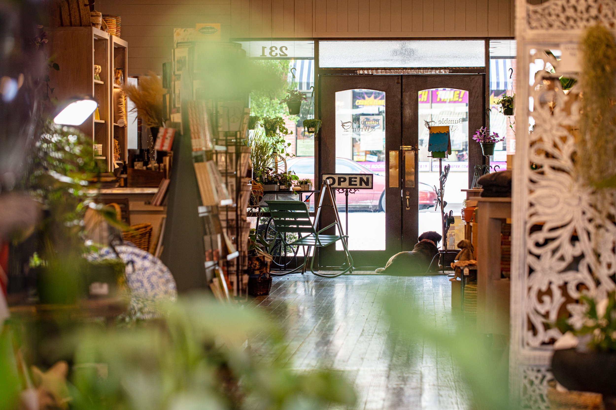 کسب درآمد از عکاسی