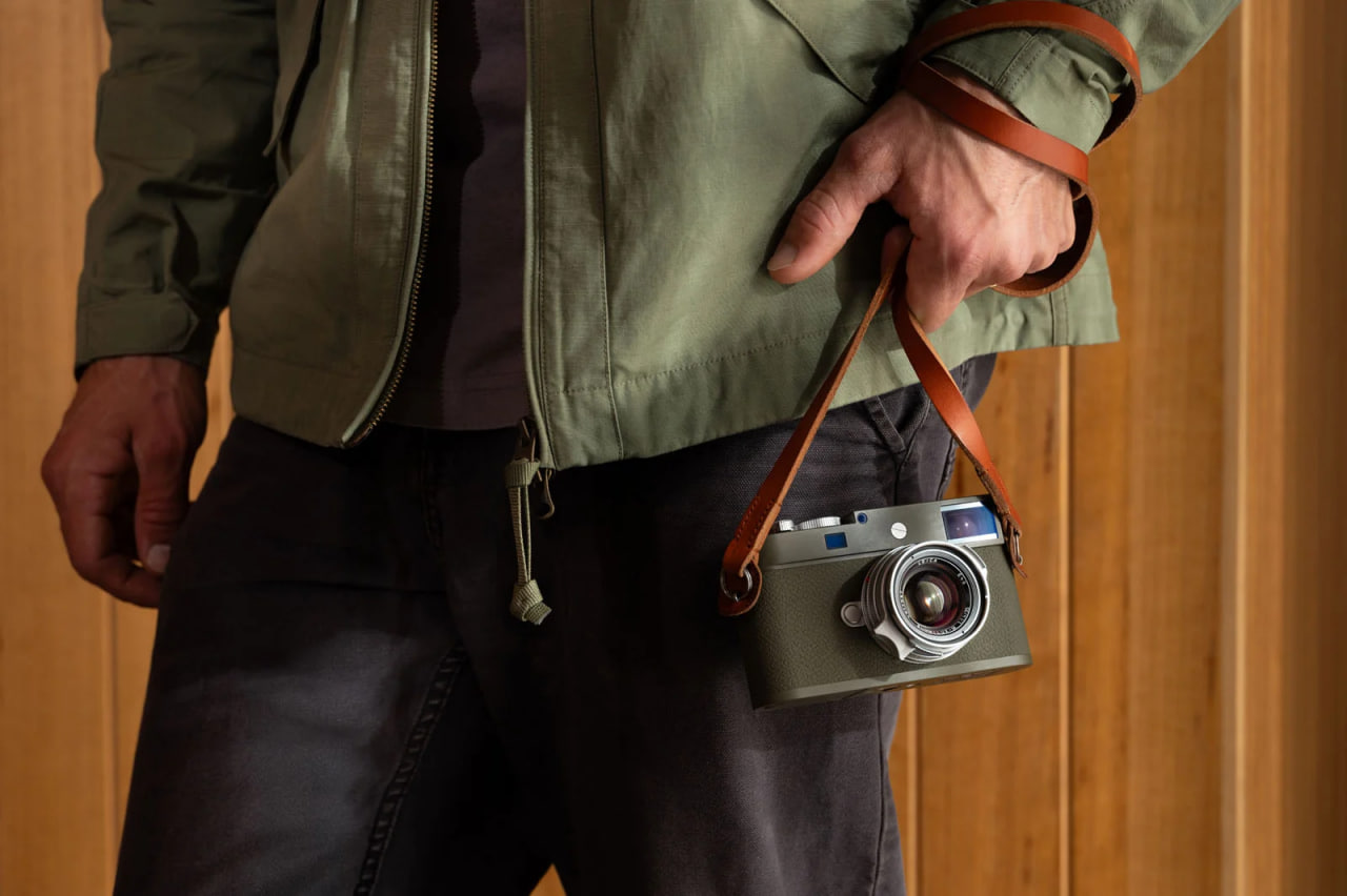 لایکا زیتونی