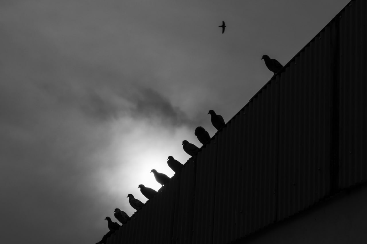 عکاسی شهودی