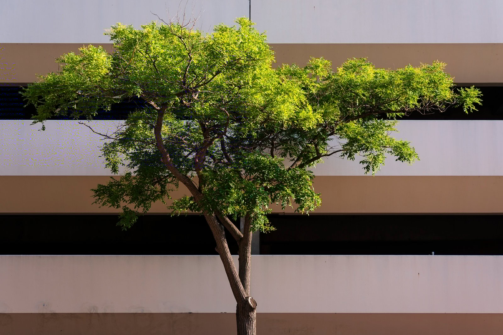 Hasselblad XCD 90mm f/2.5 V @ f/4.8, 1/100s, ISO 50