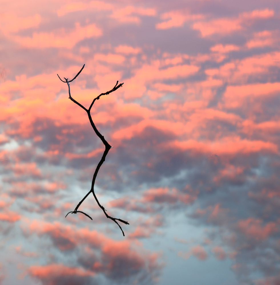 اهمیت نور در عکاسی