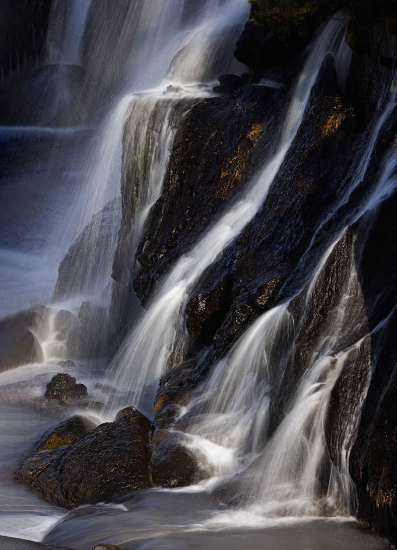 عکاسی از طبیعت