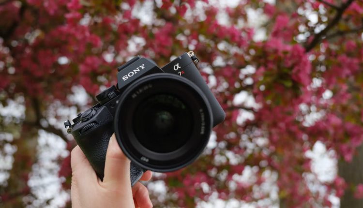 بررسی Sony a7R VI؛ فول‌فریم ۶۶.۸ مگاپیکسلی جدید سونی