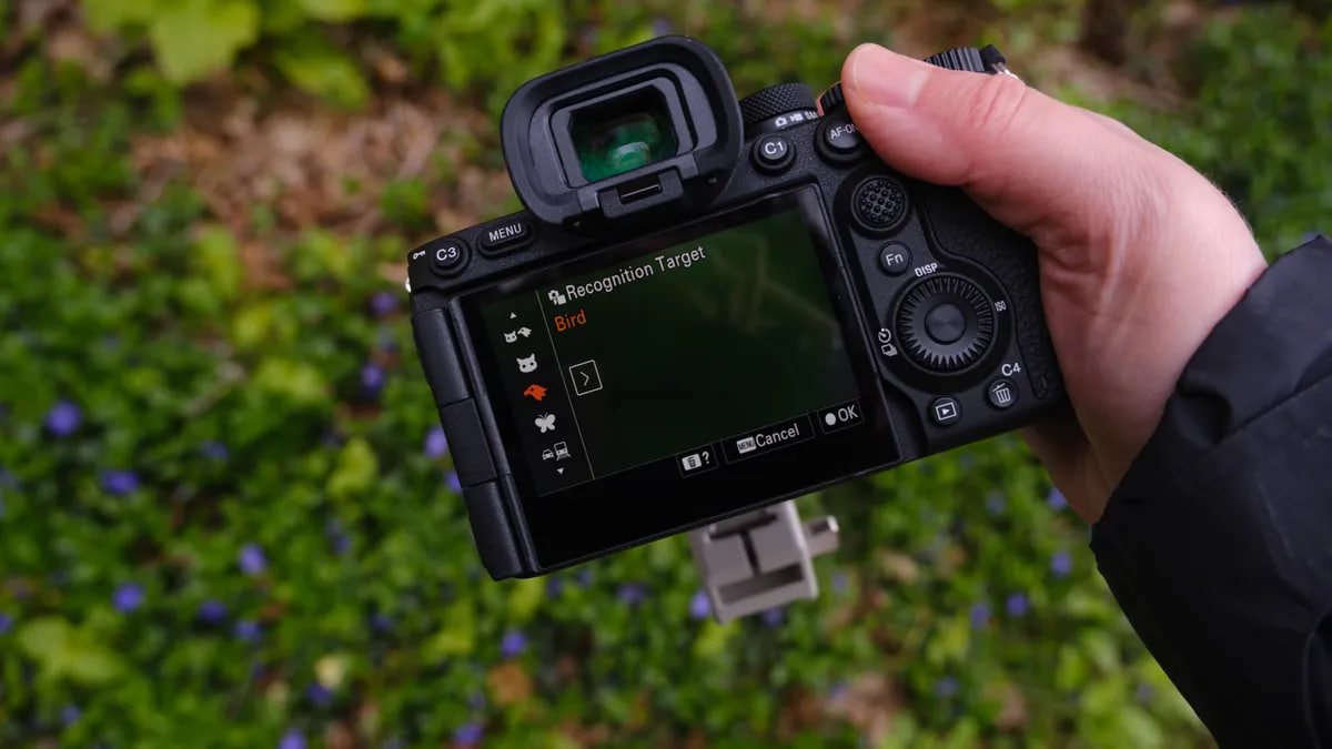 بررسی Sony a7R VI؛ فول‌فریم ۶۶.۸ مگاپیکسلی جدید سونی